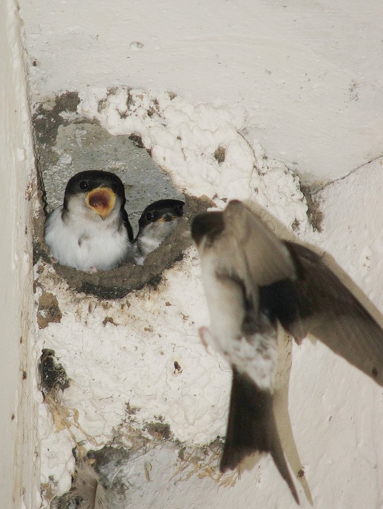 Фотография автора Владислава Андрюнина
