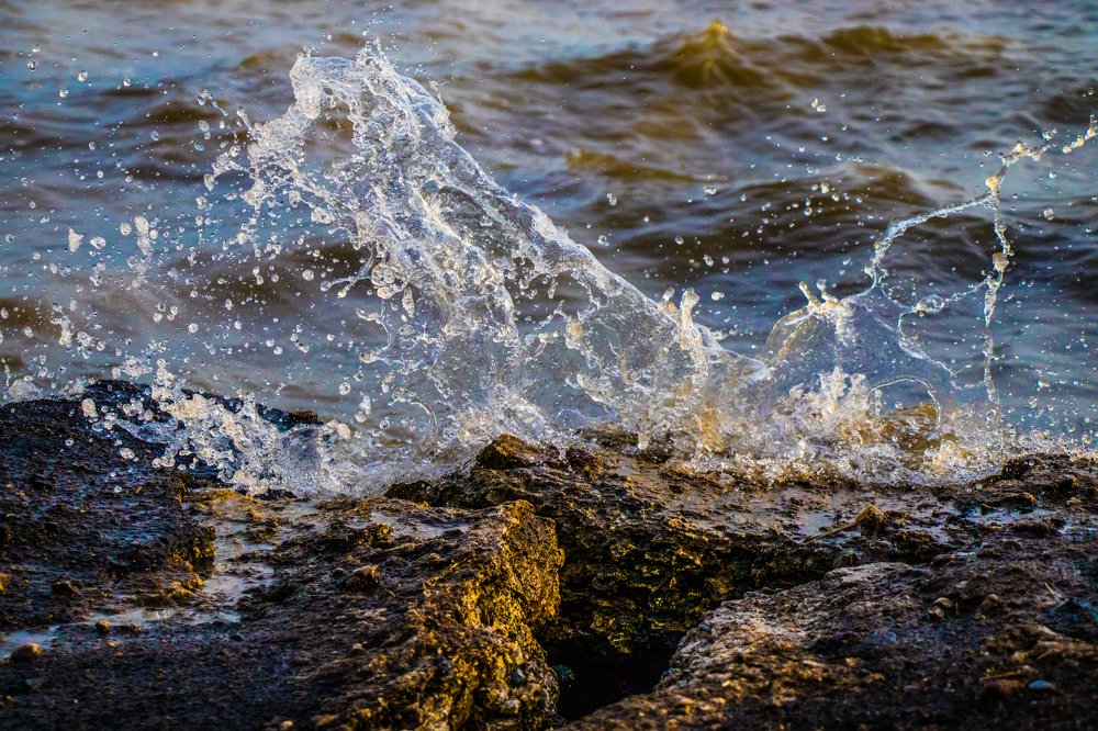 Photograph by Марина Тимакова