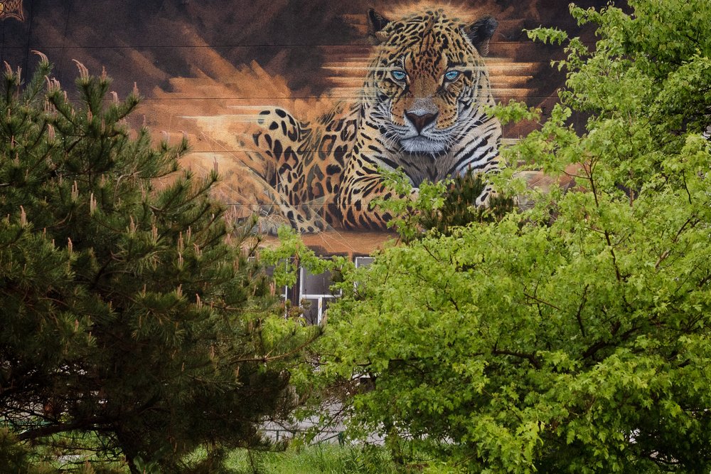 Photograph by Игорь Ковалёв