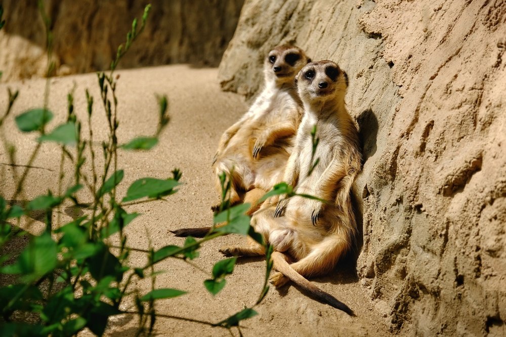 Фотография автора Денис Винарь