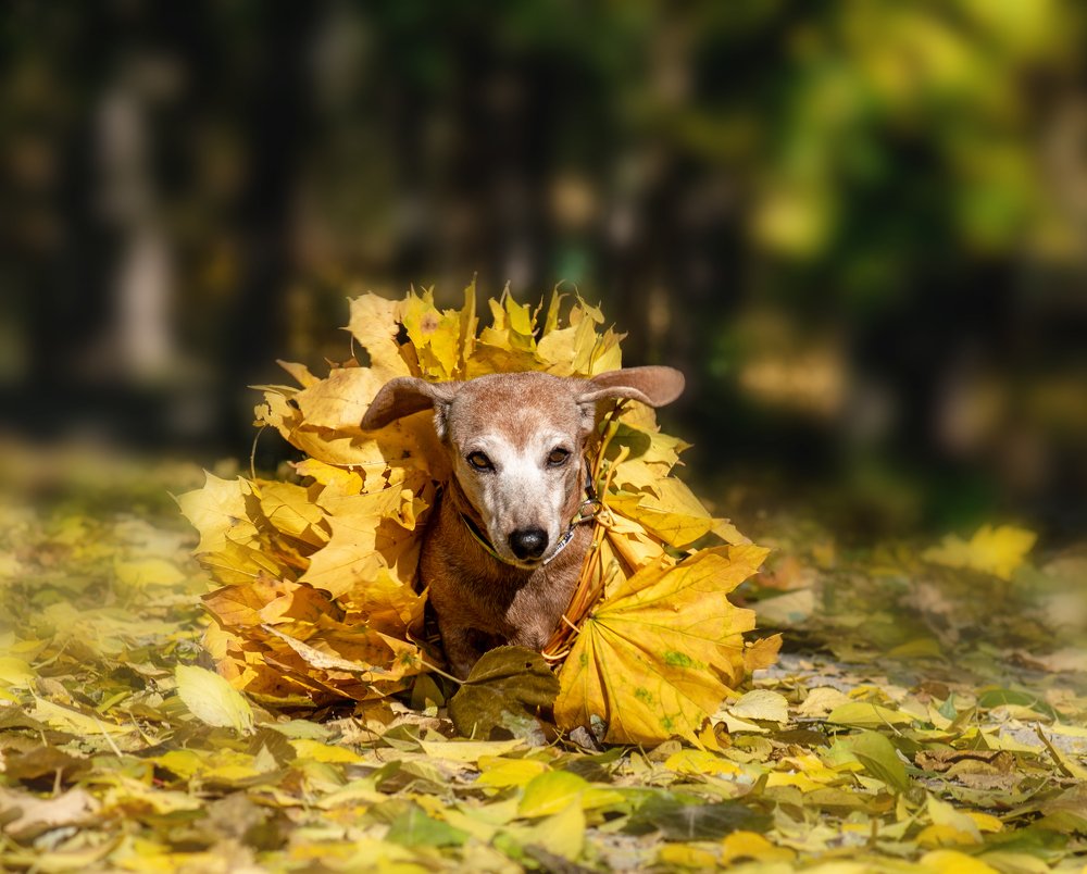 Photograph by Anna Doncila