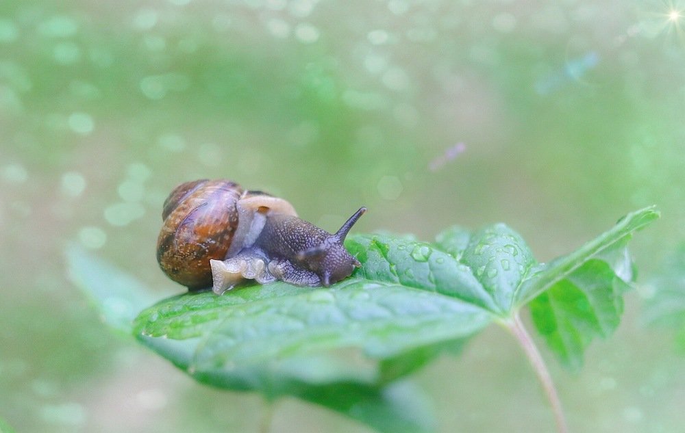 Photograph by Anna Sindikayeva