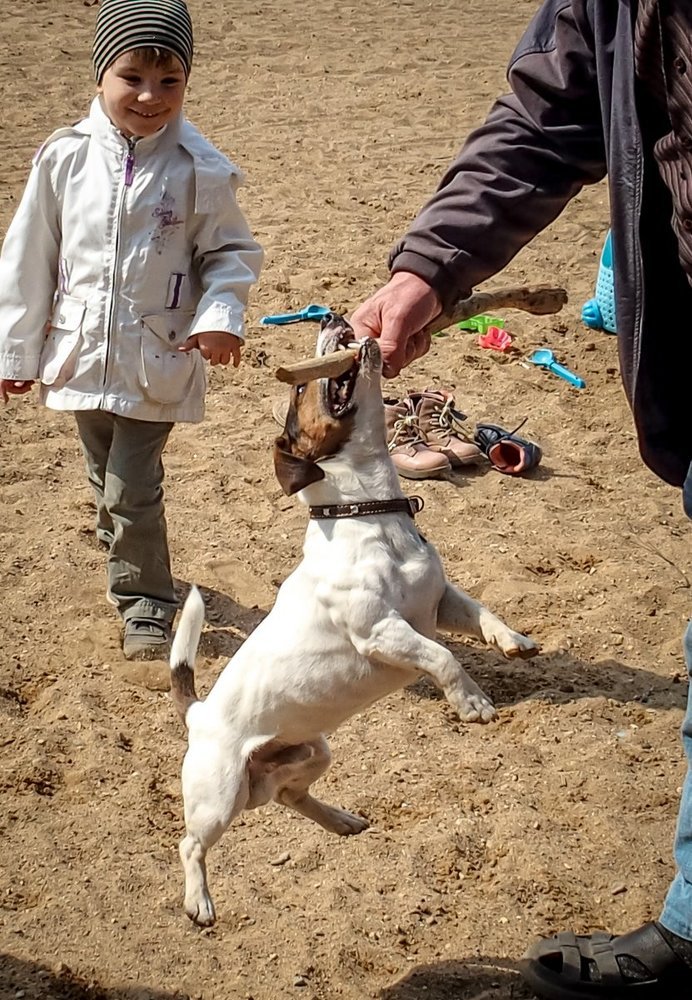 Photo #3883182