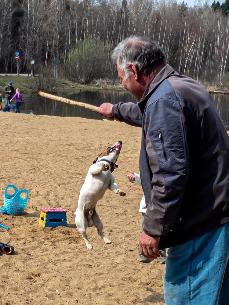 Photo #3883183