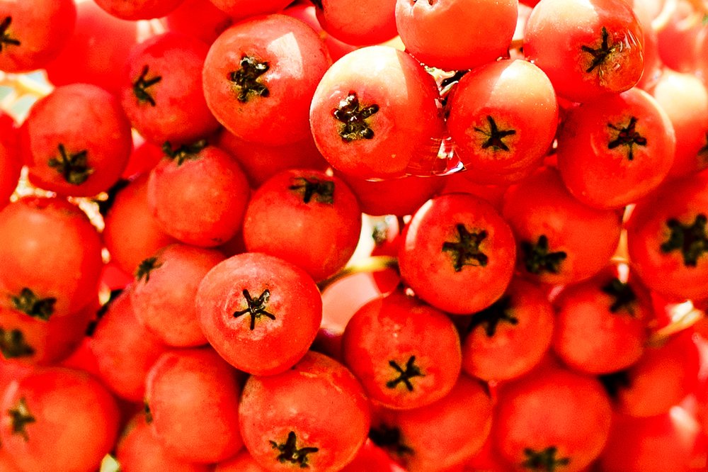 Photograph by Игорь Ковалёв