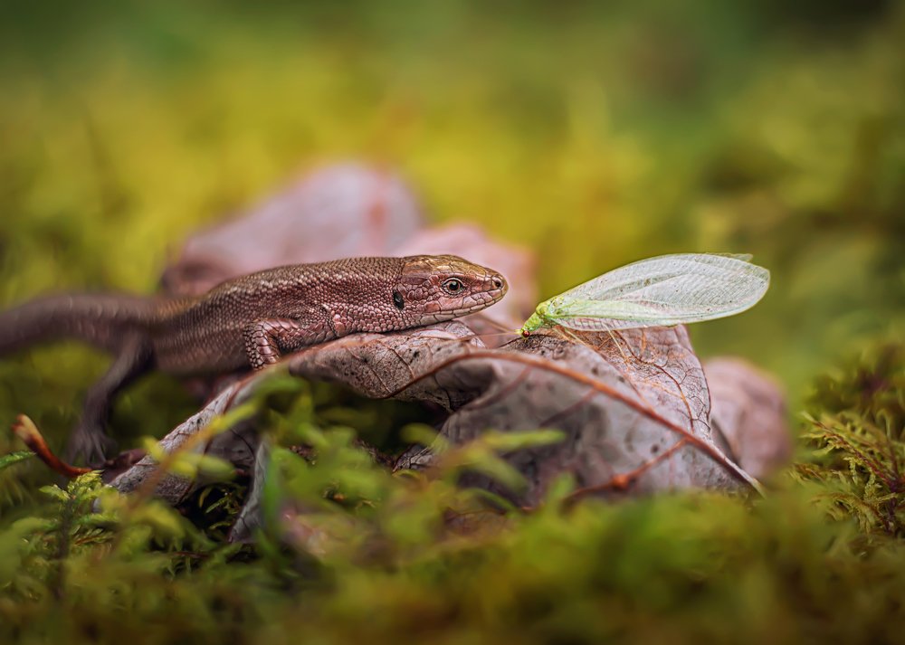 Photograph by Анастасия Третьякова
