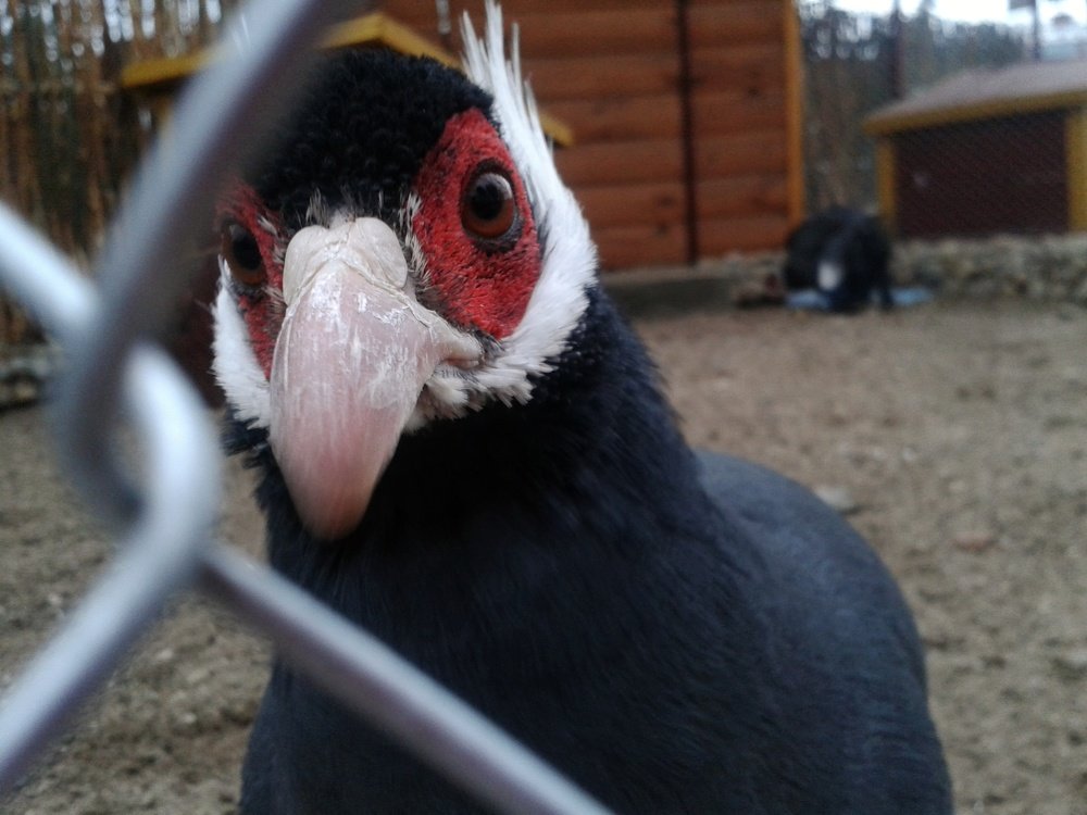 Photograph by Ирина Никитина