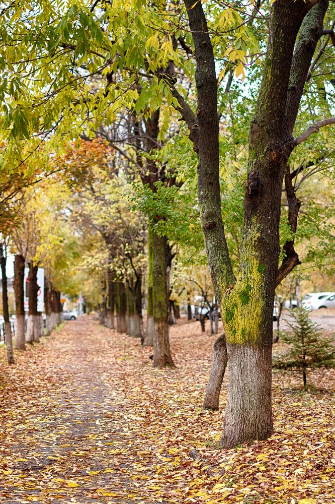 Photograph by Игорь Ковалёв