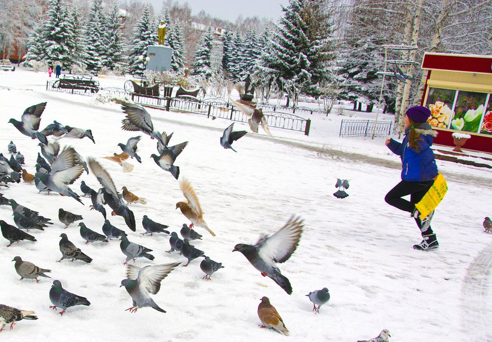 Photograph by Михаил Лавренков