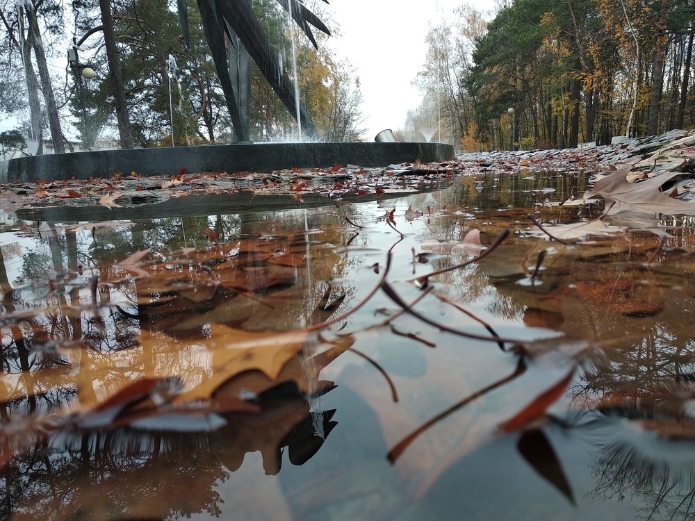 Photograph by Tatiana Andreevna