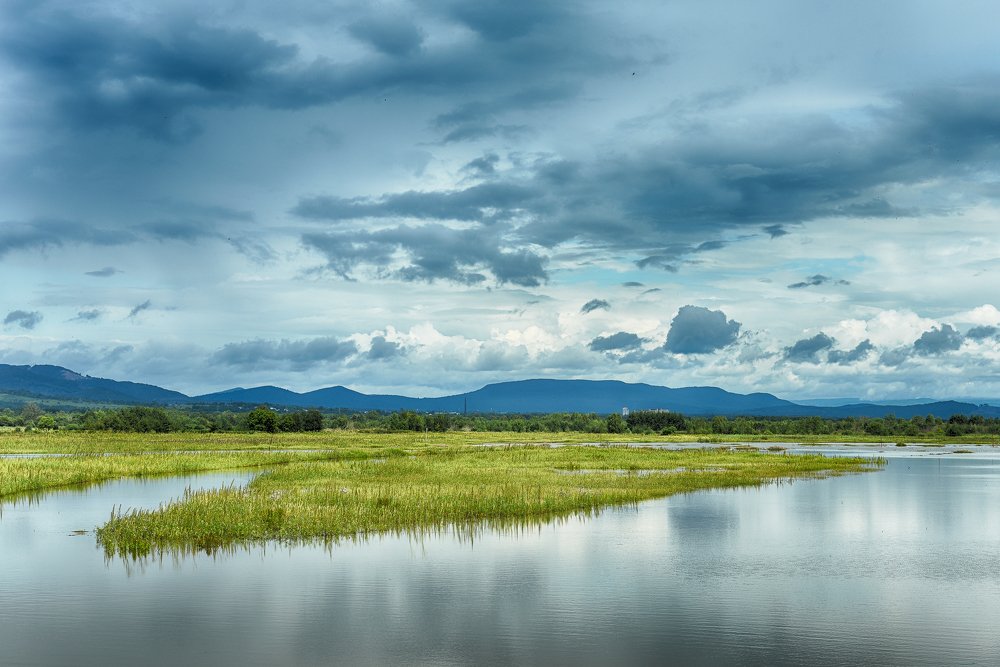 Разлив реки