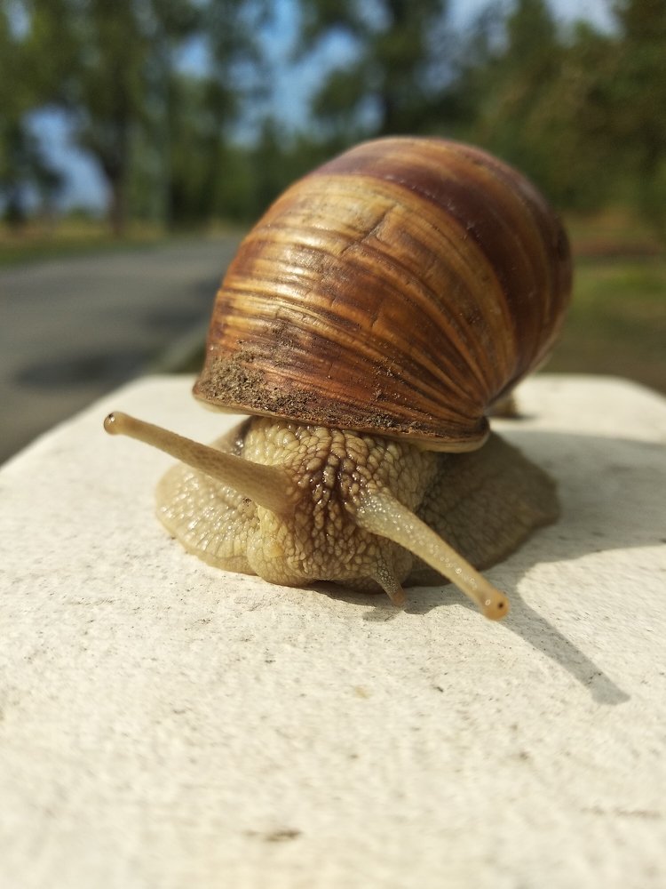 Photograph by Tatiana Andreevna