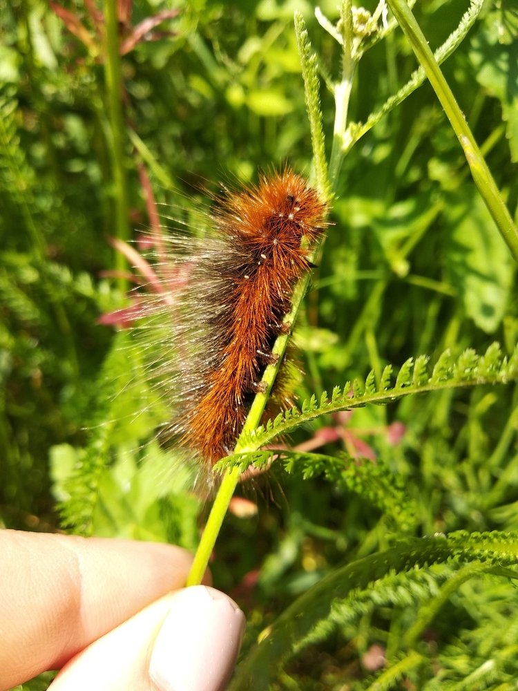 Photograph by Tatiana Andreevna