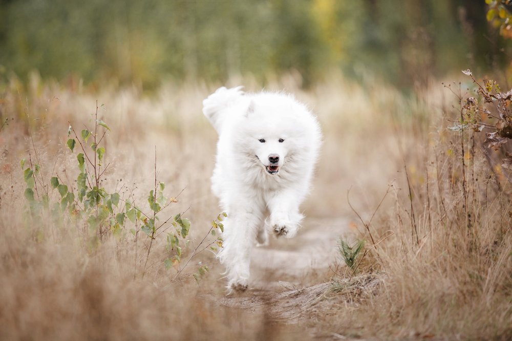 Photograph by Ольга