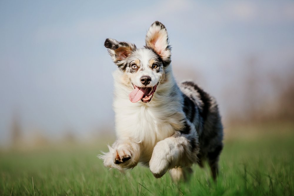 Photograph by Ольга