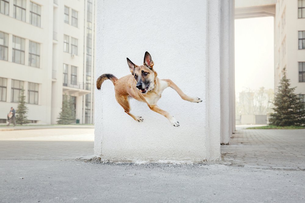 Photograph by Ольга