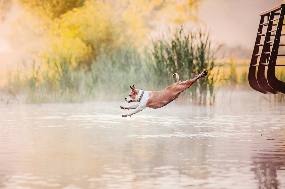 Photograph by Ольга