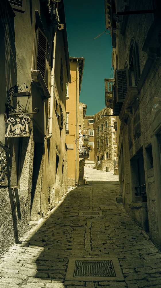 В тени улицы