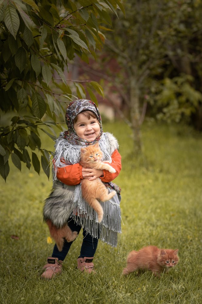 Три котенка