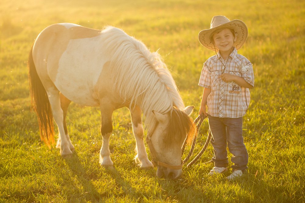 Фотография автора Алексей Черников