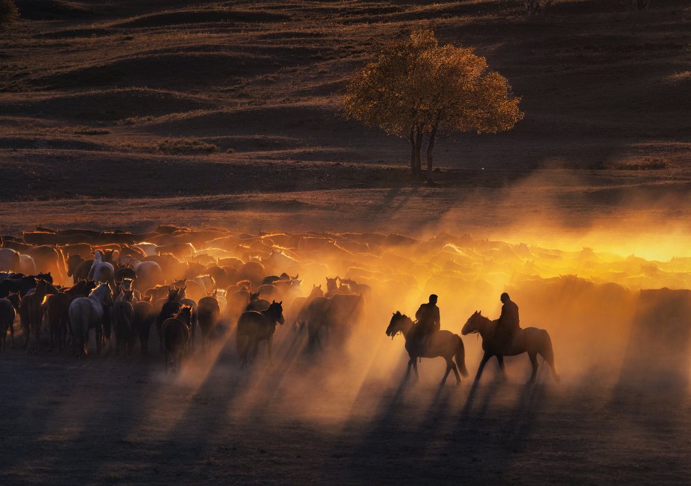 Photograph by Kok Tien Sang