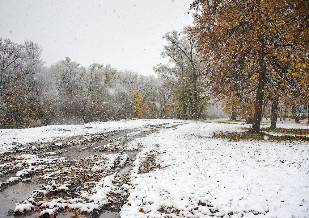 "Первый снег"