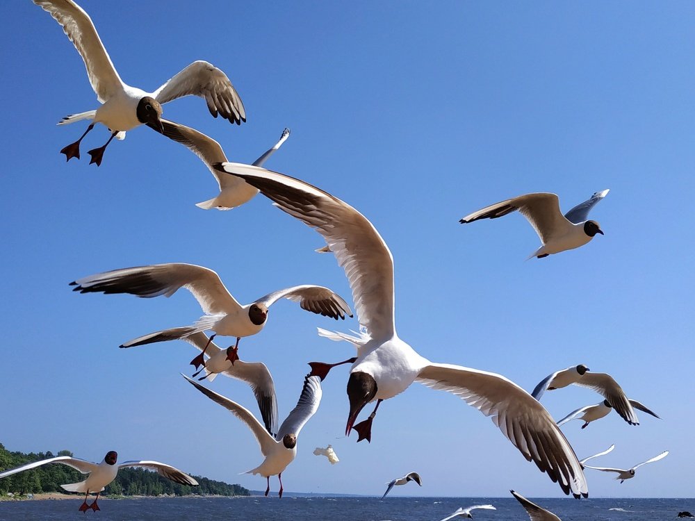 Photograph by Екатерина Бевзенко