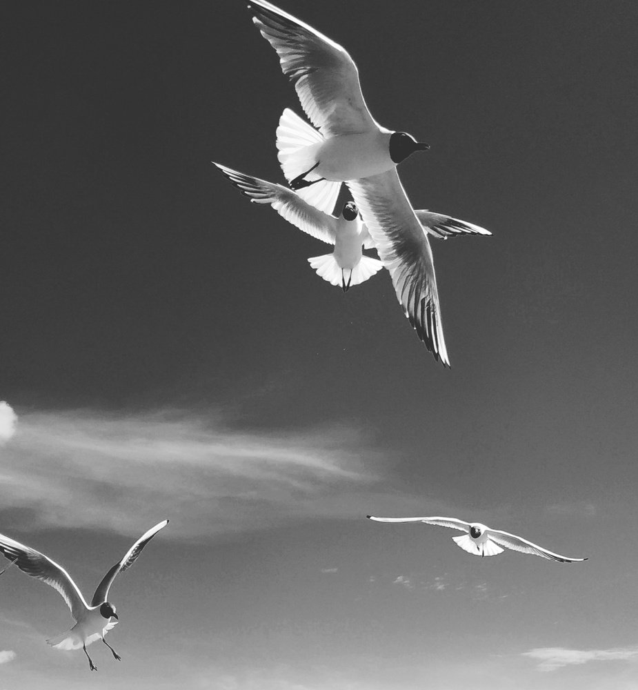Photograph by Екатерина Бевзенко
