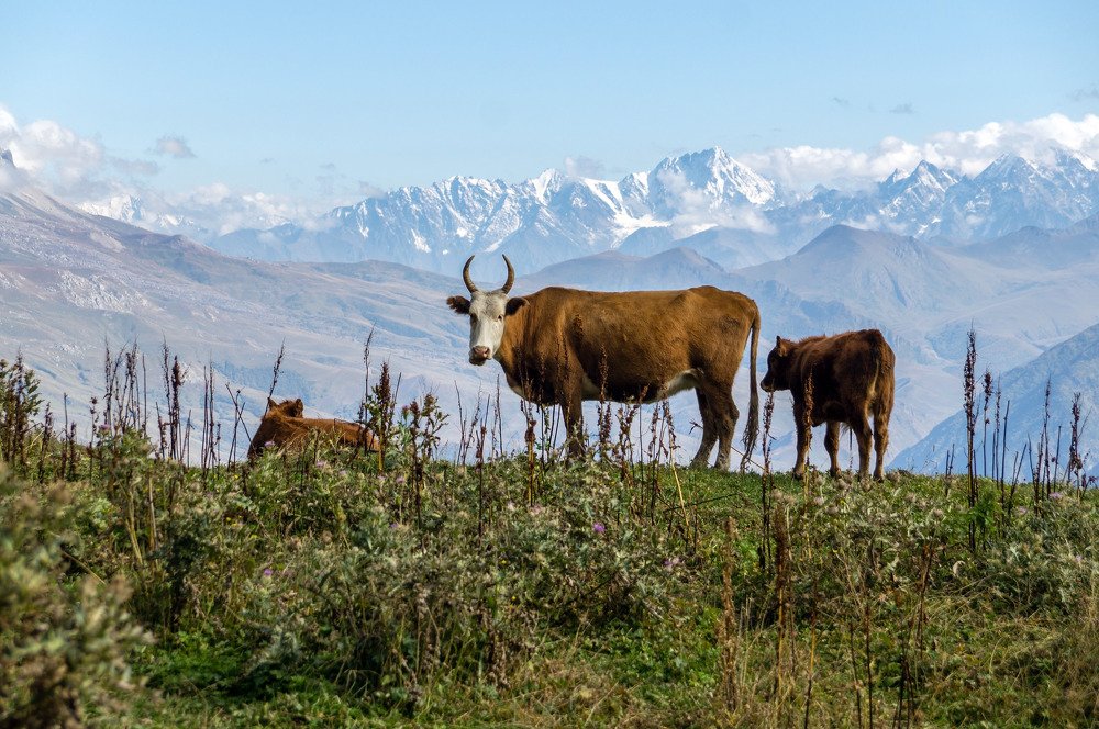 Photograph by Виктор Петров