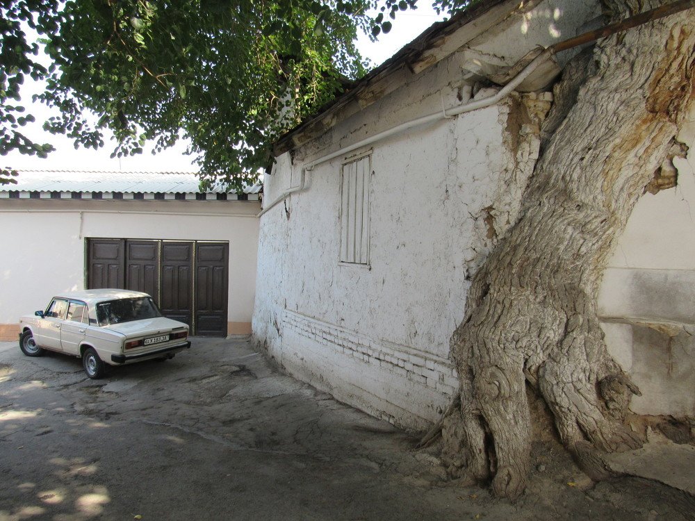 Photograph by Фотима Абдурахманова