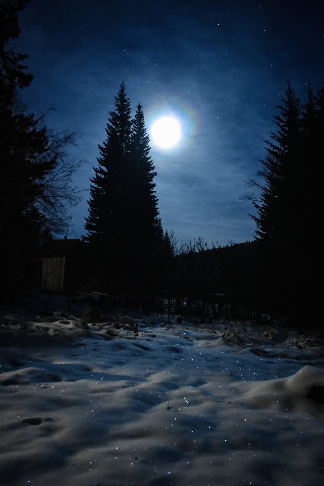 Photograph by Амир Гильмутдинов