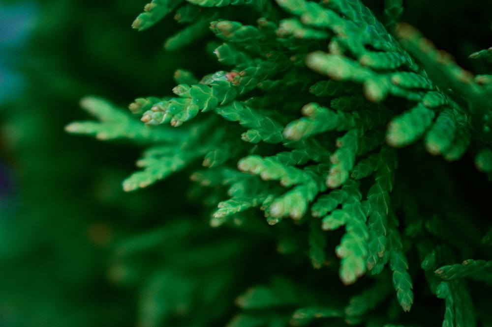 Photograph by Амир Гильмутдинов