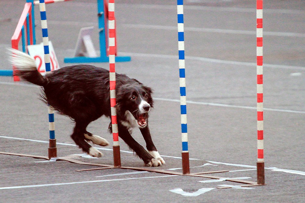 Photograph by Сергей Черных