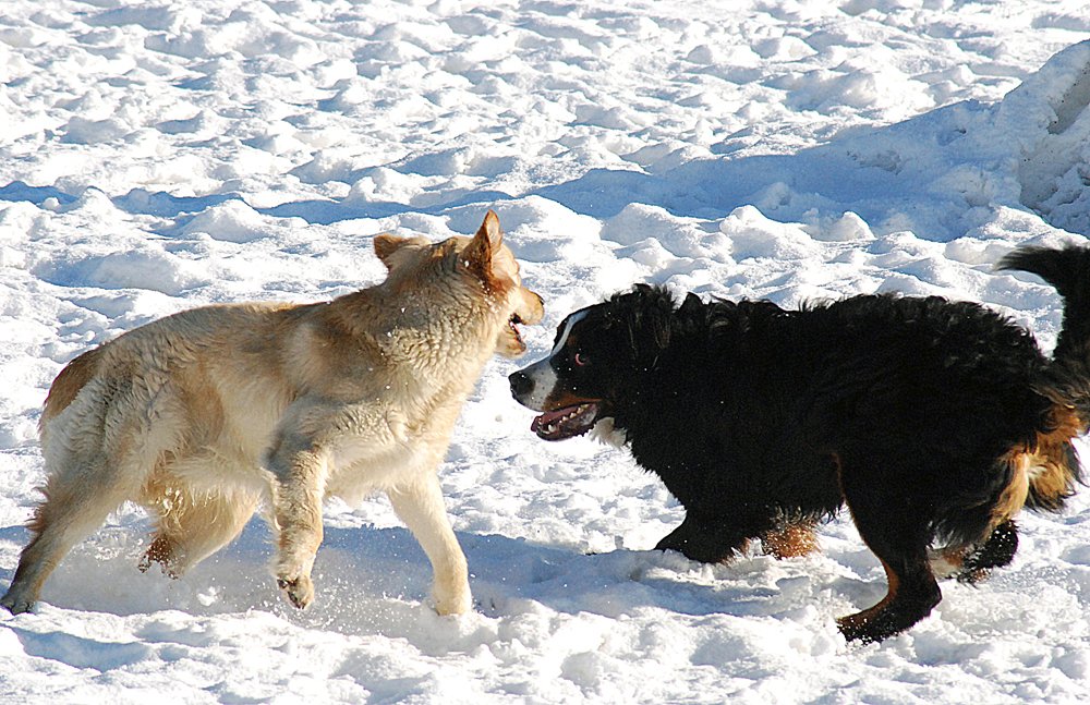 Photograph by julio cesar berisso