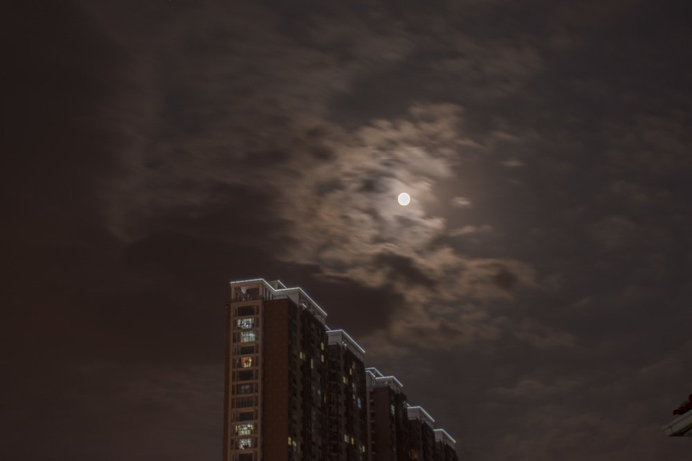 Photograph by Дмитрий Русалкин