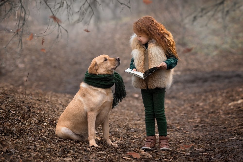 Photograph by Альфия Зотова