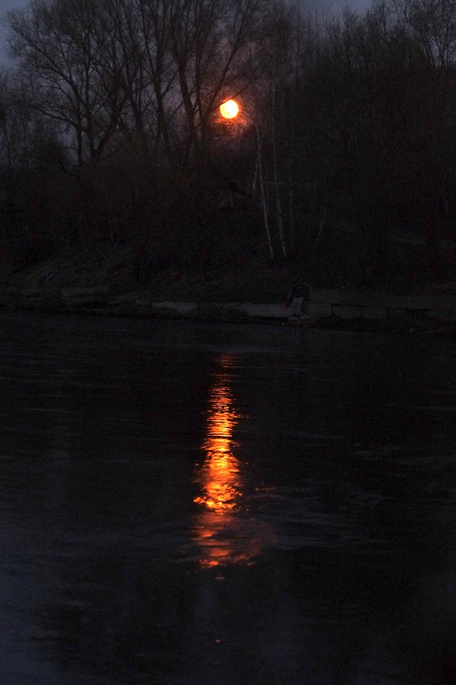 Photograph by Наталья Манусова