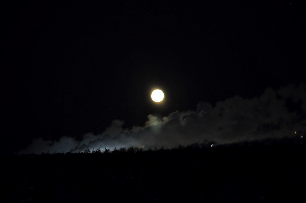 Photograph by НИНА АВЕРЬЯНОВА