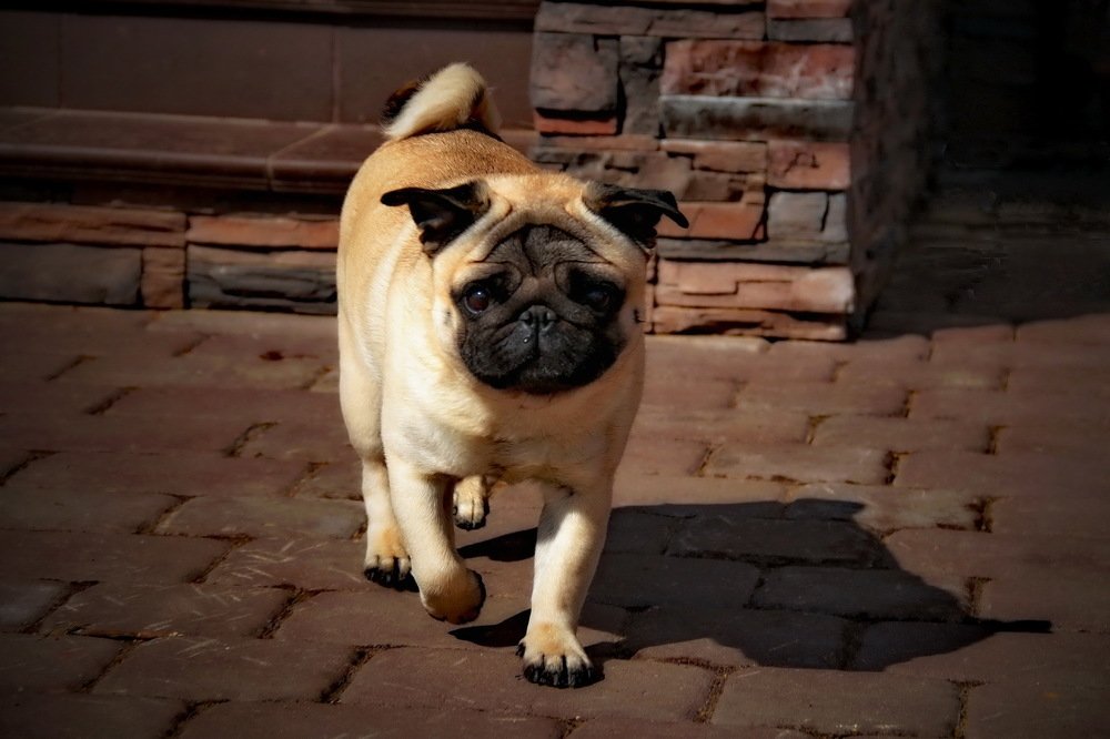 Photograph by Aleksandr Larionov