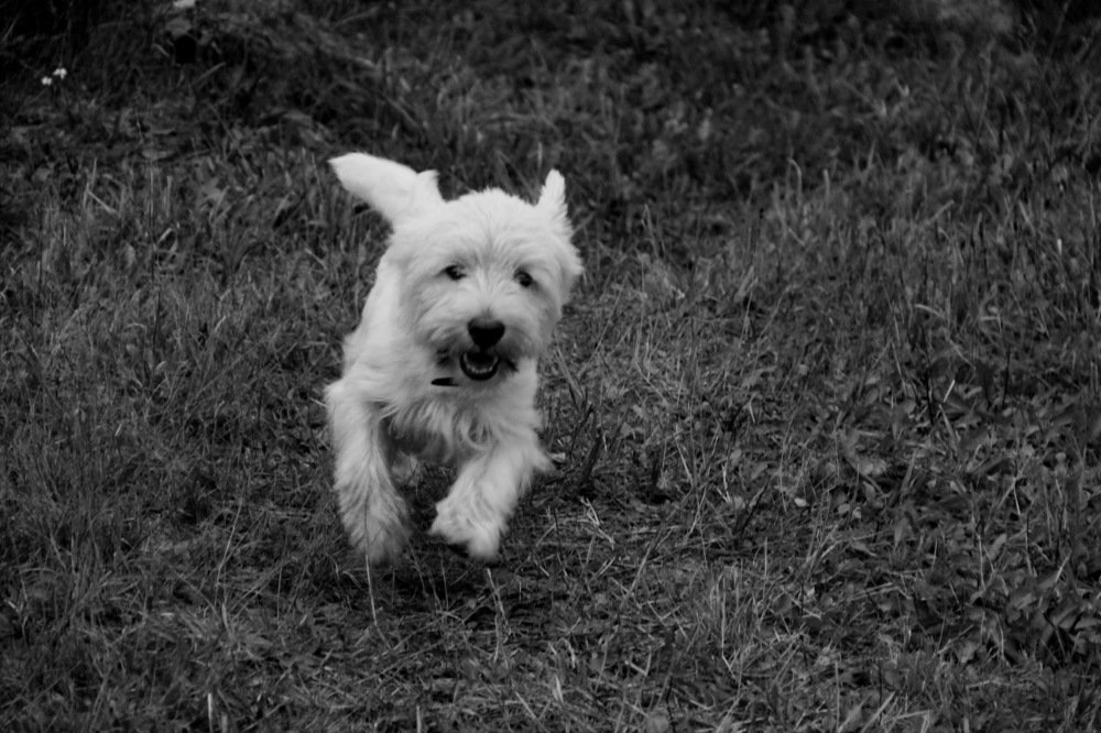 Photograph by Aleksandr Larionov