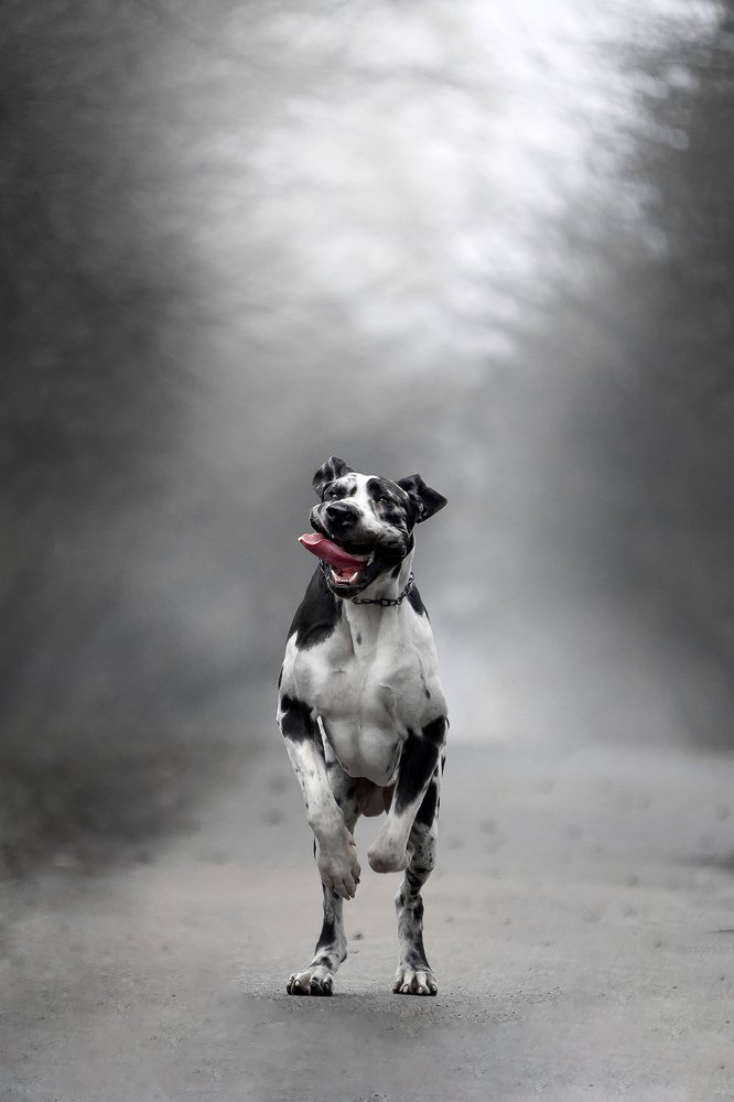 Photograph by Мария Старосельцева