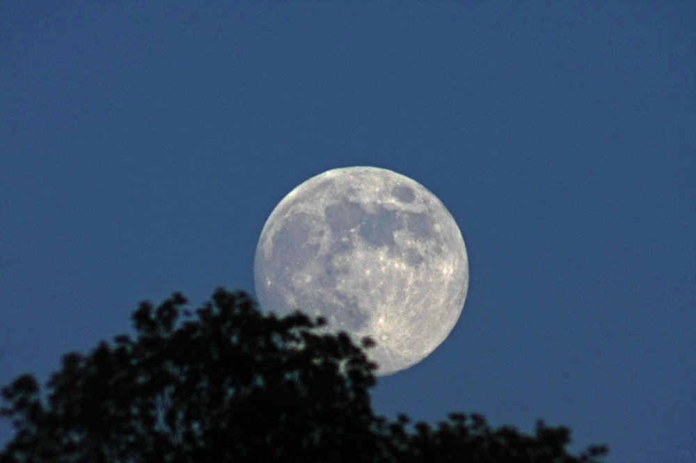 Photograph by Наталья Манусова