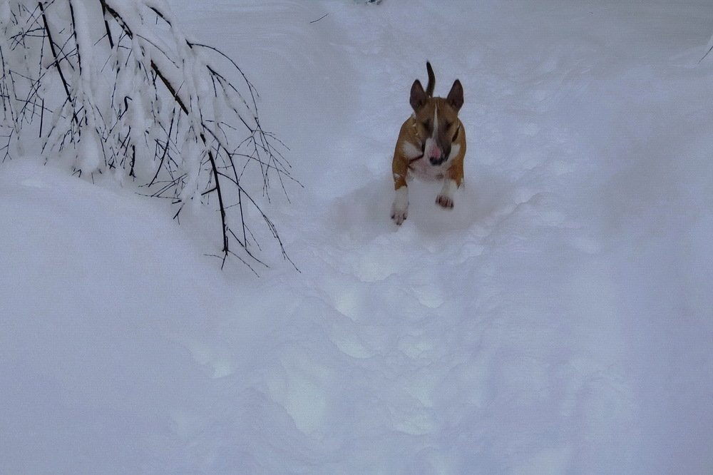 Photograph by Aleksandr Larionov