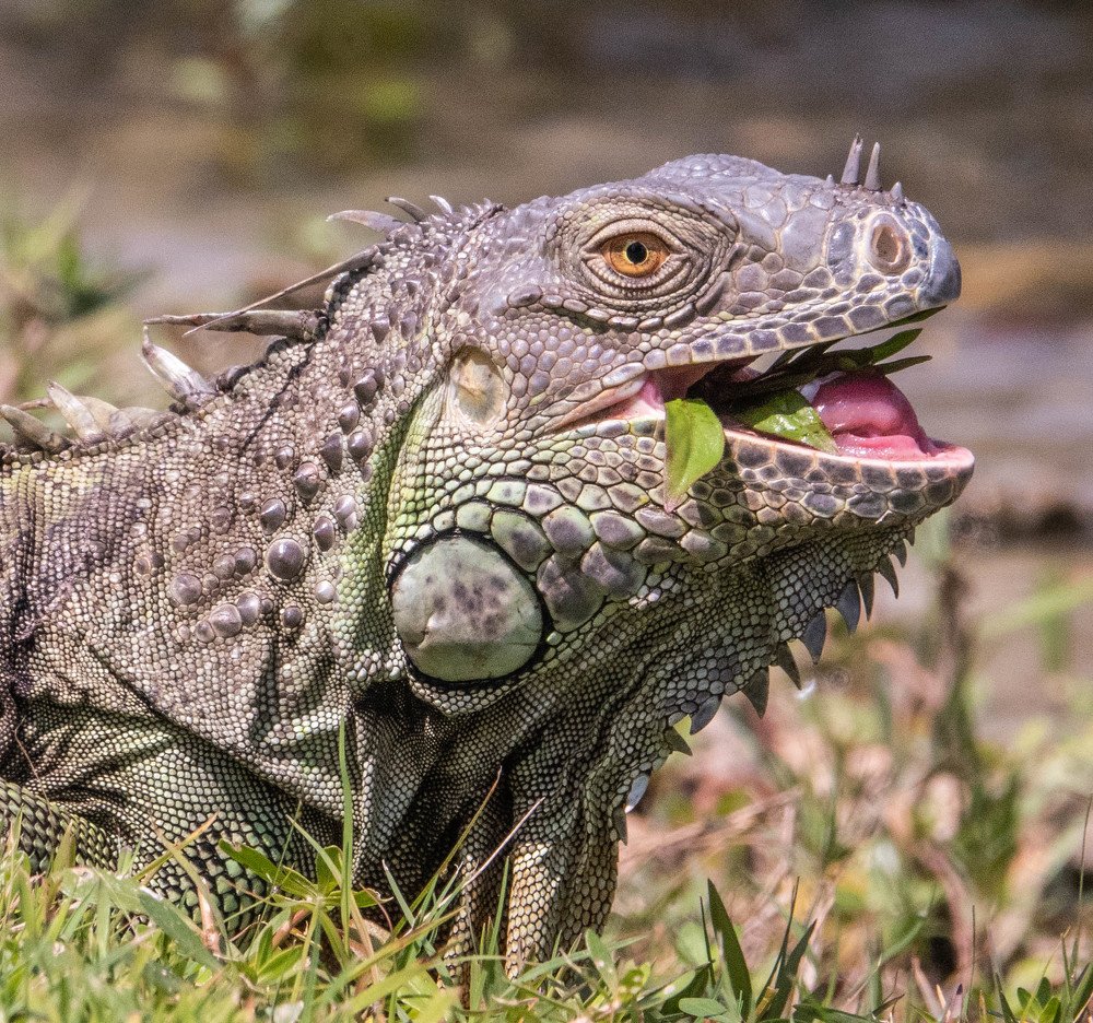 Photograph by Андрей Кротов