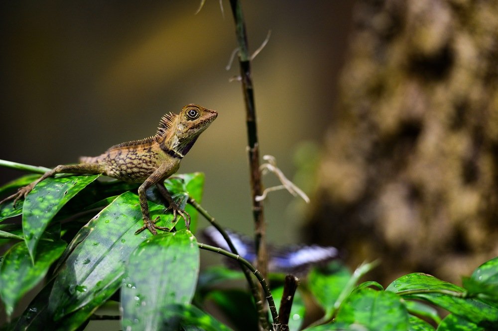 Photograph by Marzuki Faris luqman