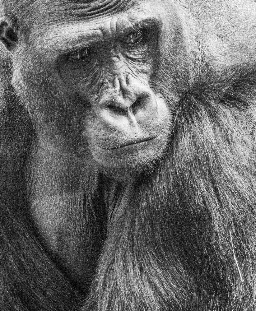 Photograph by Андрей Кротов