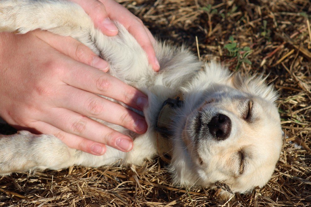 Photograph by CEM OĞUZ VUR