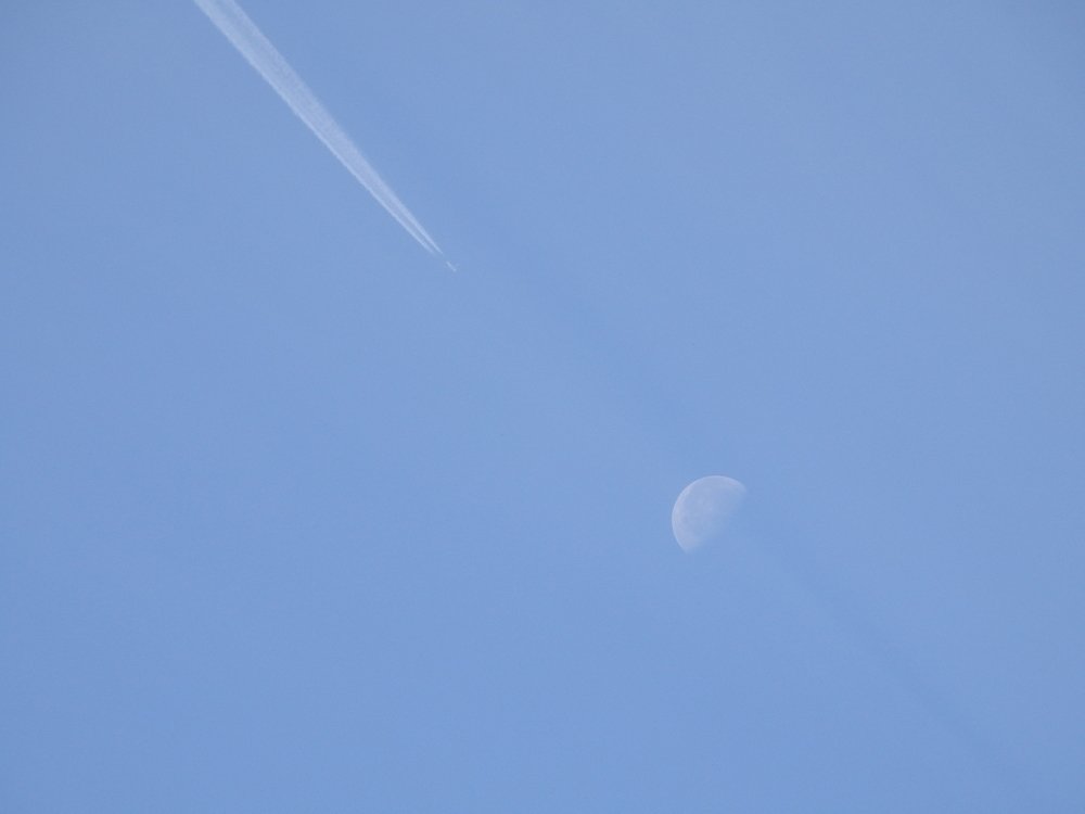 Фотография автора Александр Осинцев