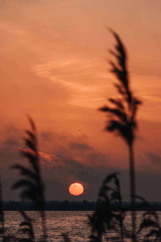 Photograph by Сергей