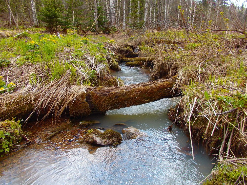 Горный ручей